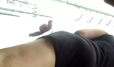 Đằng sau hậu trường sexnhat moi nhat với Teagen