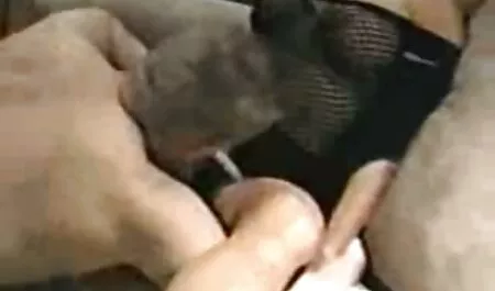 Gái đã sex nhat jav trở lại giường