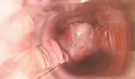 Tình chó cái, tôi đã gặp học giỏi phim sex quay len hay nhat cô gái ở đây!